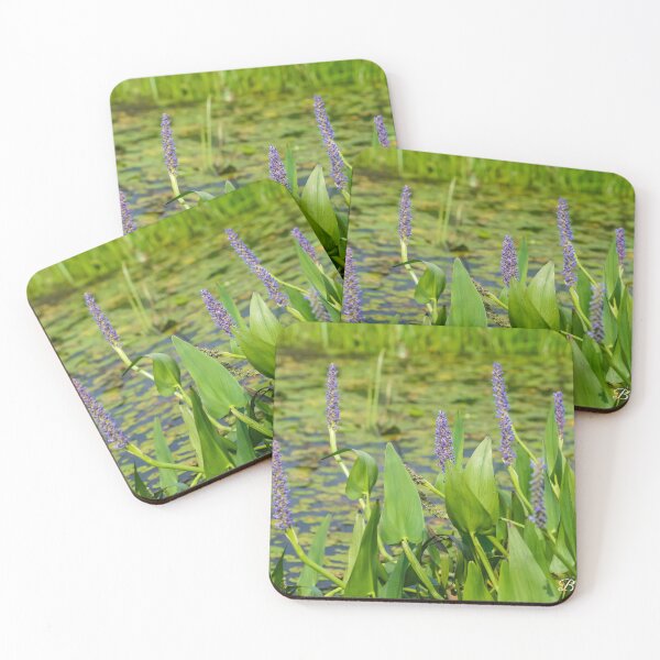 Item preview, Flowers of the Marsh designed and sold by brandi duhon.