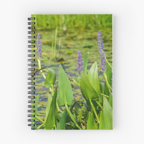 Item preview, Flowers of the Marsh designed and sold by brandi duhon.