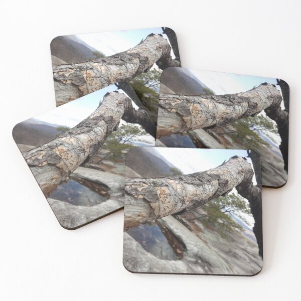 Item preview, Weathered branch on a mountain designed and sold by Daerohel.