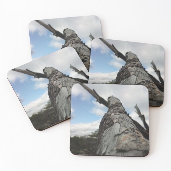 Item preview, Weathered branch against the sky designed and sold by Daerohel.
