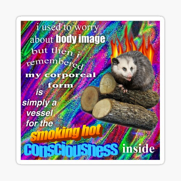 I am Up To No Good Opossums Meme, Opossums Lover Shirt, Poss - Inspire  Uplift