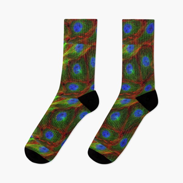 Item preview, Breast Cancer Cells, FM, Microscope designed and sold by ScienceSource.