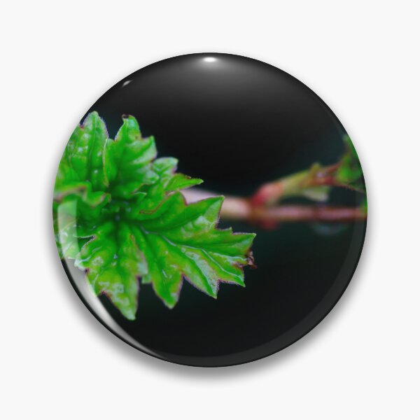 Item preview, Green leaves on spring branch designed and sold by olena2552.
