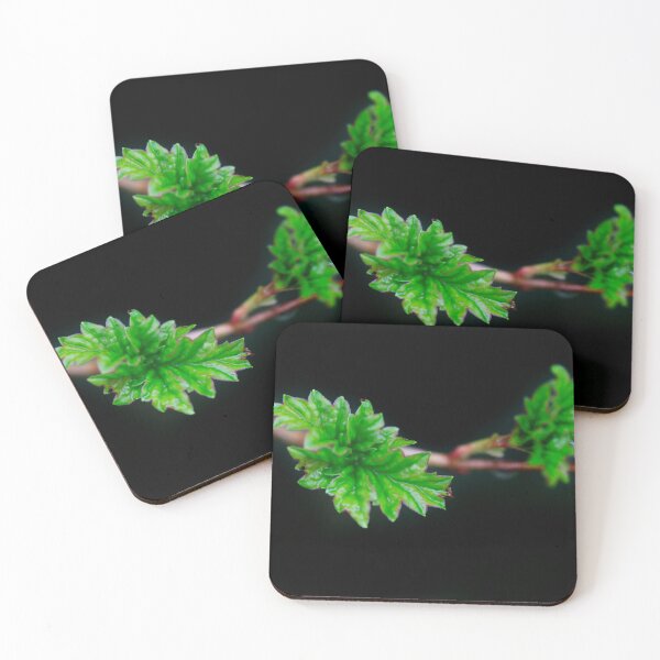 Item preview, Green leaves on spring branch designed and sold by olena2552.