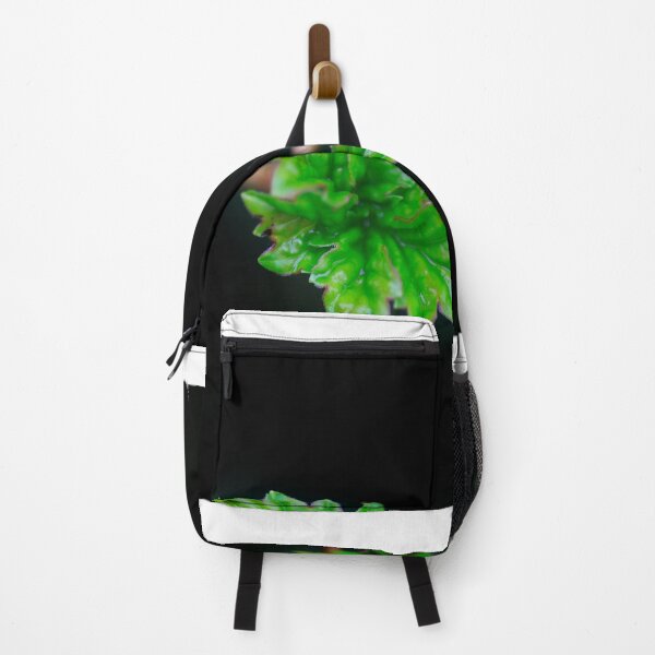 Item preview, Green leaves on spring branch designed and sold by olena2552.