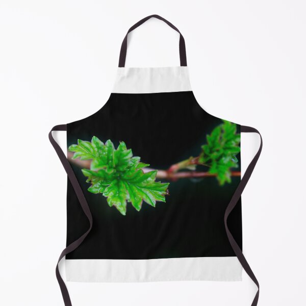 Item preview, Green leaves on spring branch designed and sold by olena2552.