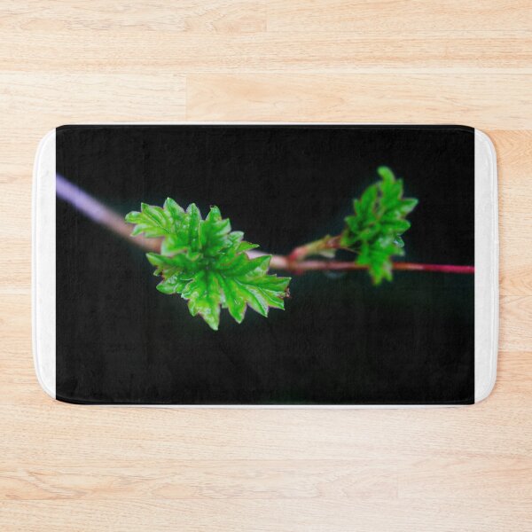 Item preview, Green leaves on spring branch designed and sold by olena2552.