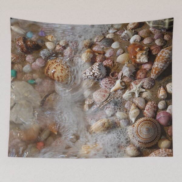 Item preview, Favorite Seashells designed and sold by CommandoCrane.