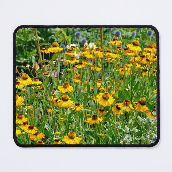 Item preview, Rudbeckia Happiness designed and sold by lisadw.