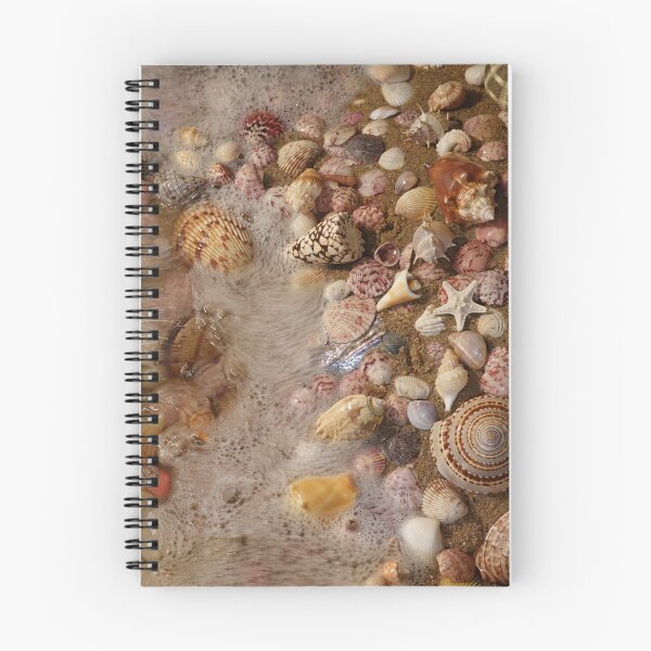 Item preview, My Favorite Seashell Collection designed and sold by CommandoCrane.