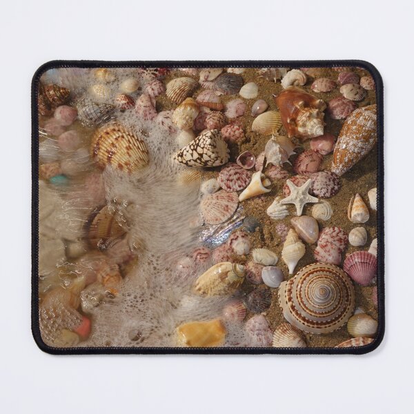 Item preview, My Favorite Seashell Collection designed and sold by CommandoCrane.