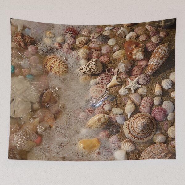 Item preview, My Favorite Seashell Collection designed and sold by CommandoCrane.
