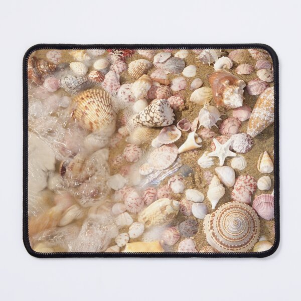 Item preview, My Favorite Sea Shell Collection designed and sold by CommandoCrane.