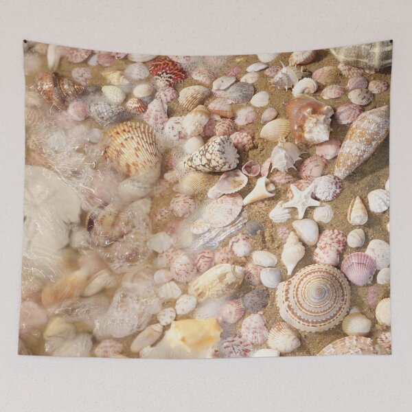 Item preview, My Favorite Sea Shell Collection designed and sold by CommandoCrane.