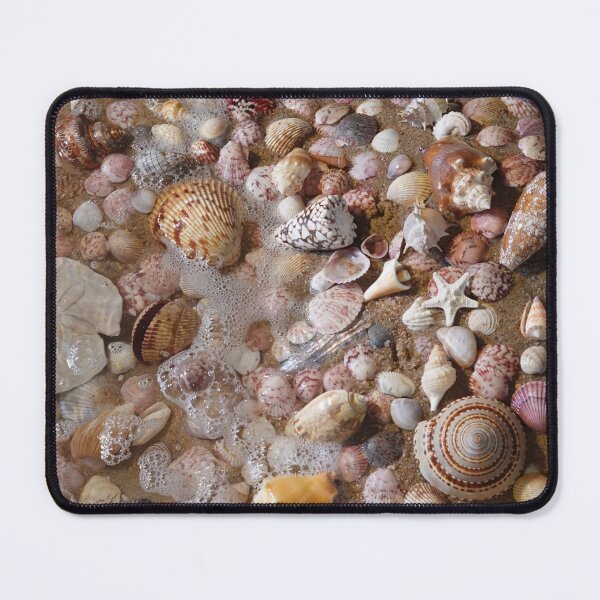 Item preview, My favorite shells designed and sold by CommandoCrane.
