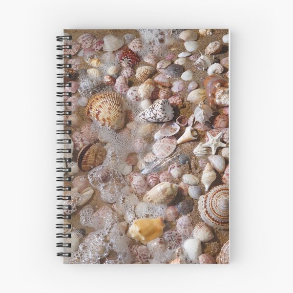 Item preview, My favorite shells designed and sold by CommandoCrane.