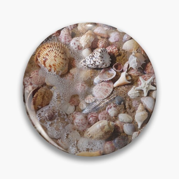 Item preview, My favorite shells designed and sold by CommandoCrane.