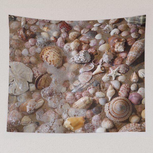 Item preview, My favorite shells designed and sold by CommandoCrane.