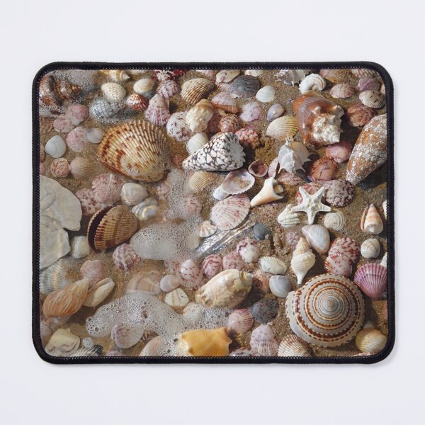 Item preview, My Favorite Shells designed and sold by CommandoCrane.