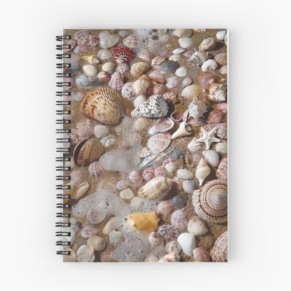 Item preview, My Favorite Shells designed and sold by CommandoCrane.