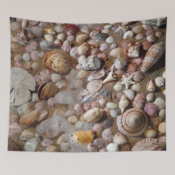 Item preview, My Favorite Shells designed and sold by CommandoCrane.