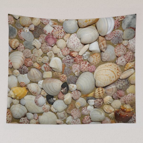 Item preview, Sheller's dream designed and sold by CommandoCrane.