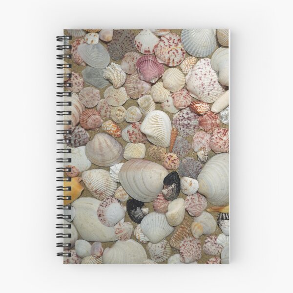 Item preview, Collection of Seashells from Sanibel Island designed and sold by CommandoCrane.