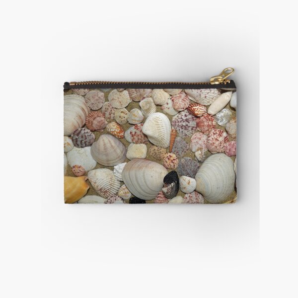 Item preview, Collection of Seashells from Sanibel Island designed and sold by CommandoCrane.