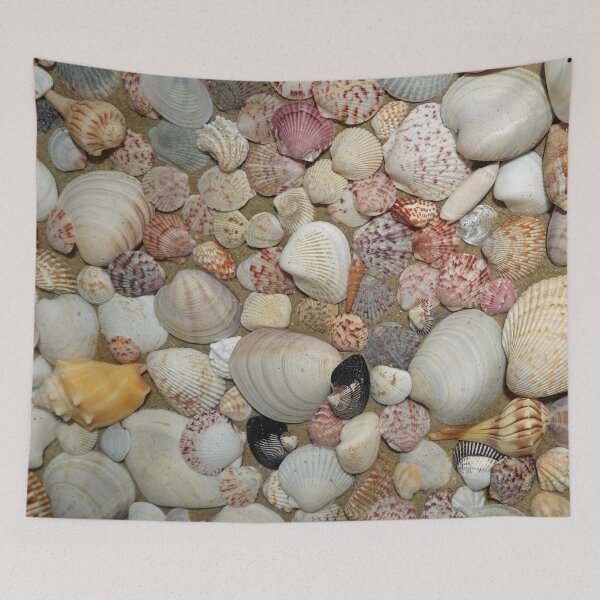 Item preview, Collection of Seashells from Sanibel Island designed and sold by CommandoCrane.
