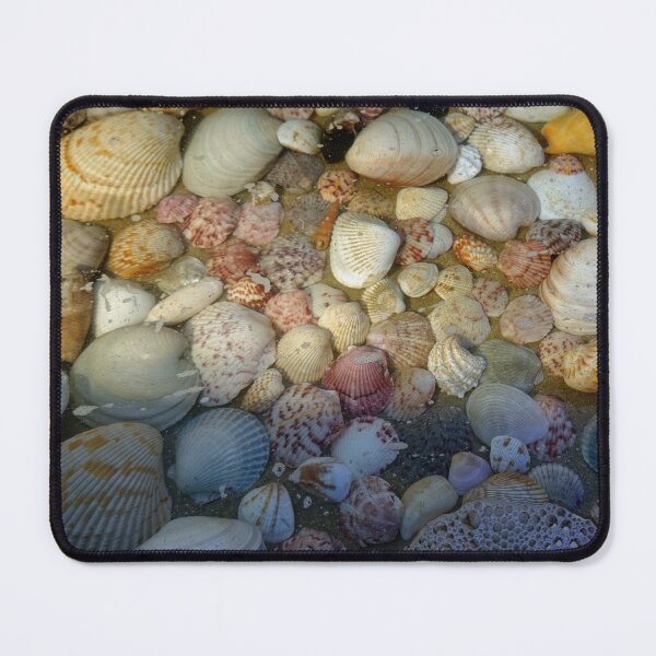 Item preview, Sea shell collection from Sanibel Island, Florida designed and sold by CommandoCrane.