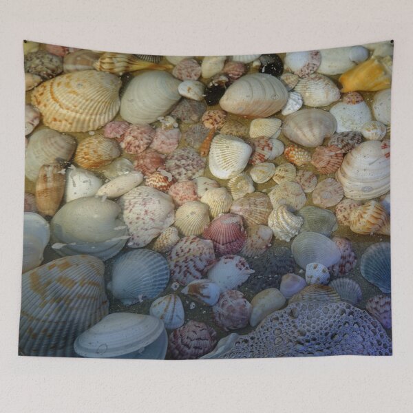 Item preview, Sea shell collection from Sanibel Island, Florida designed and sold by CommandoCrane.