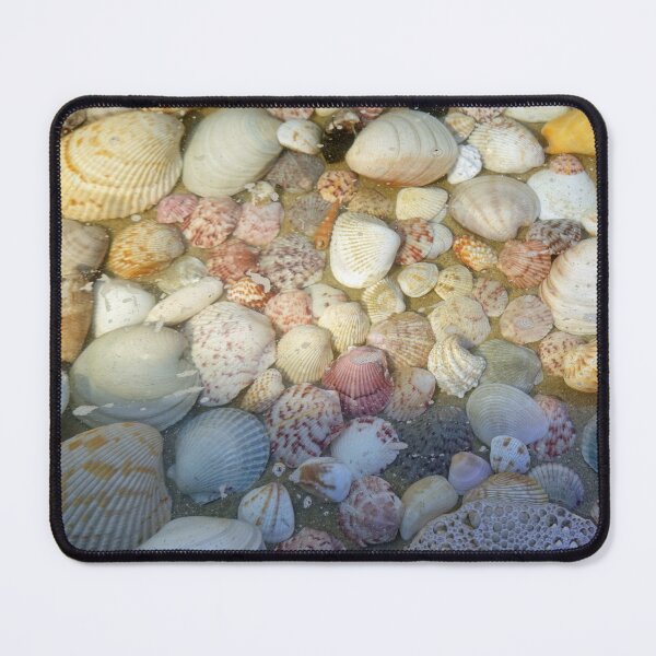 Item preview, Sanibel Island Seashells designed and sold by CommandoCrane.