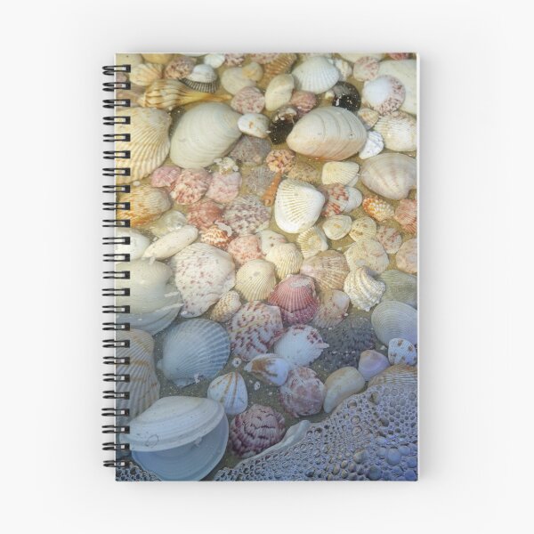 Item preview, Sanibel Island Seashells designed and sold by CommandoCrane.