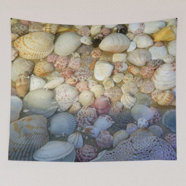 Item preview, Sanibel Island Seashells designed and sold by CommandoCrane.