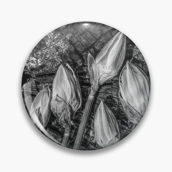 Artikelvorschau, Buds On A Stump BW entworfen und verkauft von Jim Love.