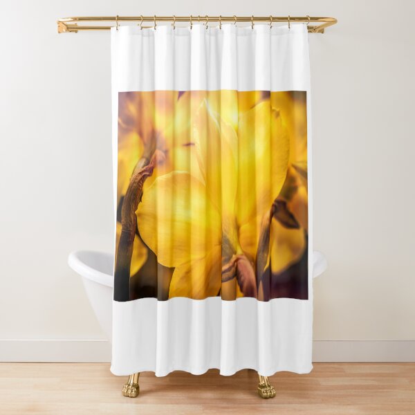 Item preview, Yeehaw Spring designed and sold by Jim Love.