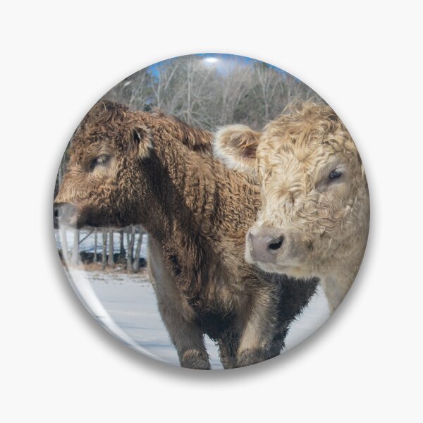 Item preview, Vermont Cows designed and sold by JacobPMcE.