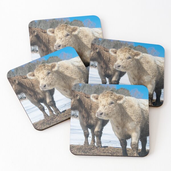 Item preview, Vermont Cows designed and sold by JacobPMcE.