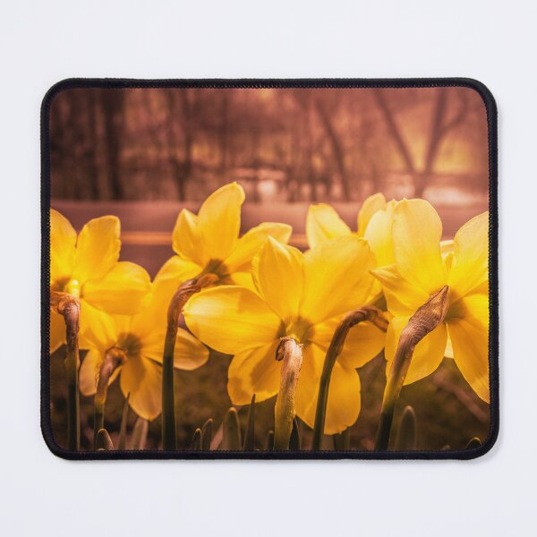 Item preview, Sunny Traffic Watchers designed and sold by Jim Love.