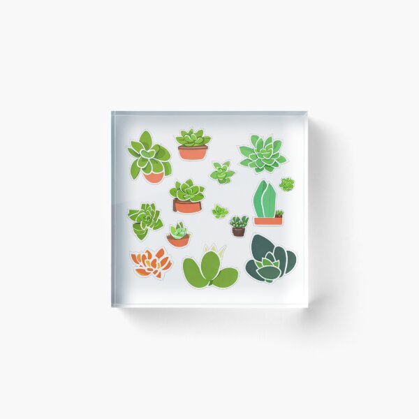 Item preview, Succulents designed and sold by HandCraftedArt.
