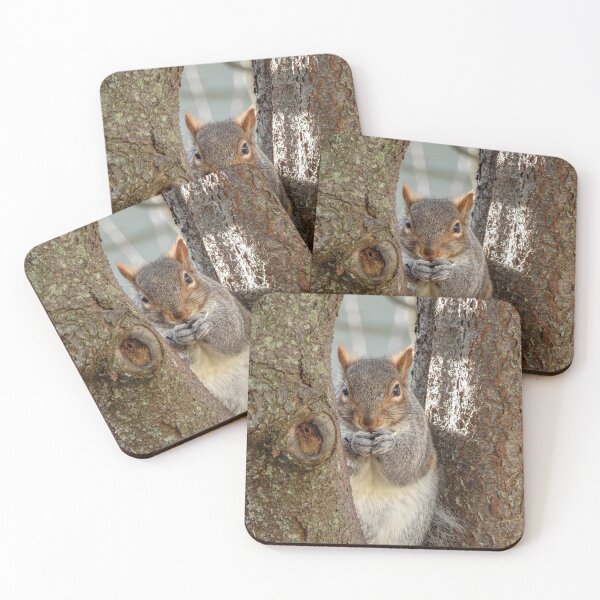 Item preview, Squirrel Eating  designed and sold by JacobPMcE.