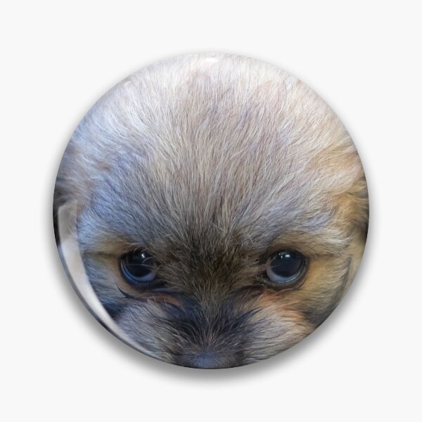 Item preview, Mean looking puppy designed and sold by likbatonboot.