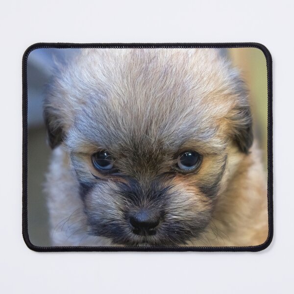 Item preview, Mean looking puppy designed and sold by likbatonboot.