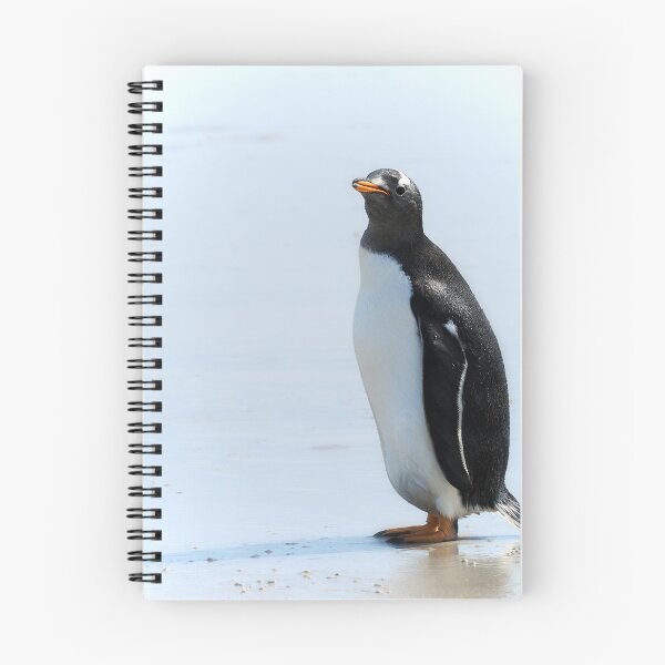 Item preview, Solo designed and sold by Alla Gill.