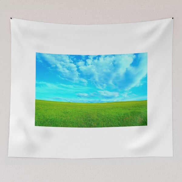 Item preview, Scenery near Piani di Ragnolo with grass and sky designed and sold by Kristina Drozd.