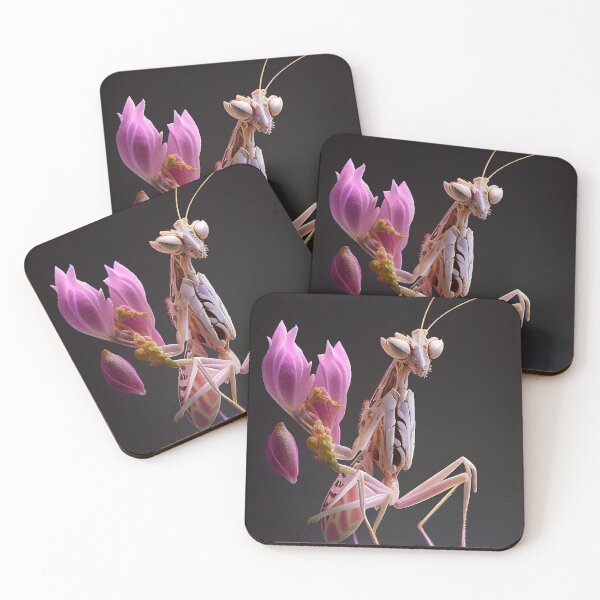 Item preview, Orchid Mantis designed and sold by DigitizedArt.