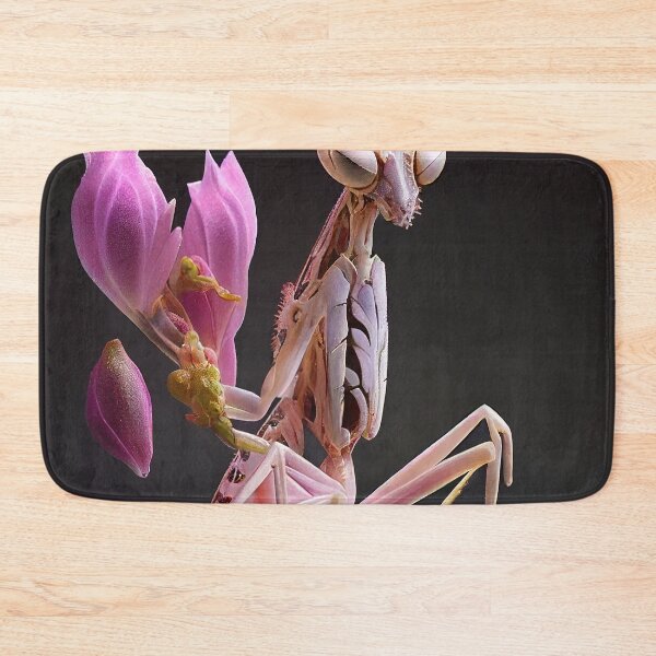 Aperçu de l'œuvre Orchid Mantis créée et vendue par DigitizedArt.