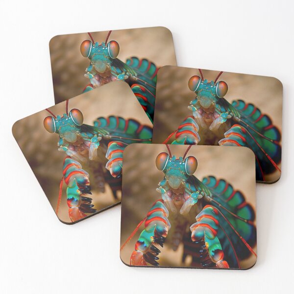 Artikelvorschau, Peacock Mantis Shrimp entworfen und verkauft von DigitizedArt.