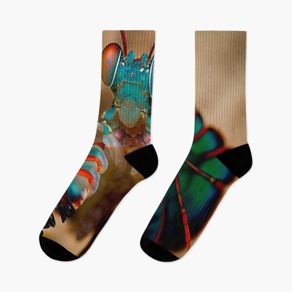 Item preview, Peacock Mantis Shrimp designed and sold by DigitizedArt.