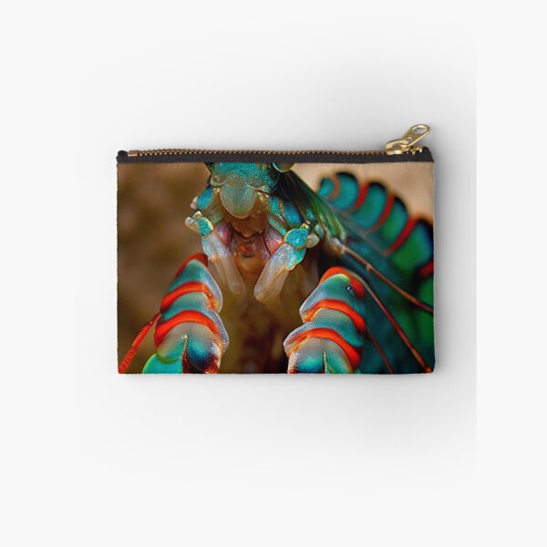 Item preview, Peacock Mantis Shrimp designed and sold by DigitizedArt.